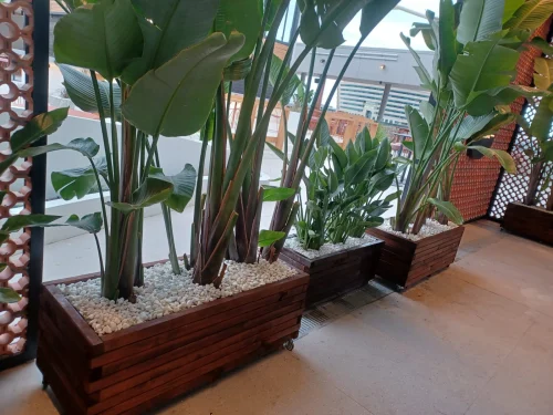 decoracion de terrazas