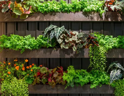 jardines verticales
